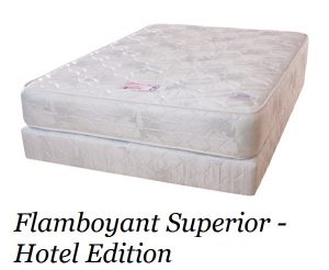 Flamboyant Superior - Hotel Edition